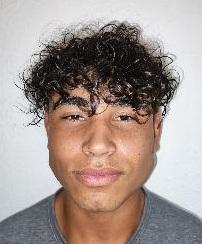 Jose Gregorio Robertis