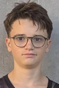 Vicente Francisco Sanchis