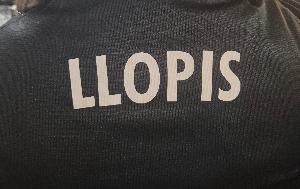 Maria Llopis