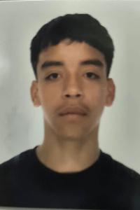 Dylan Francisco Martínez