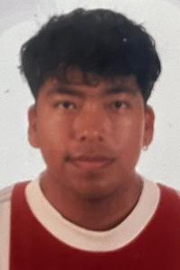 Luis Mario Paticu