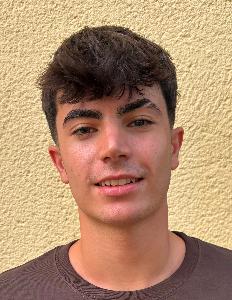 Pau Vicent