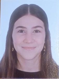 Vega Viñes