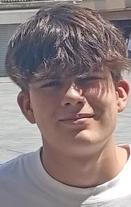 Dario De