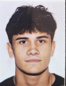 Stefano Fabbrini