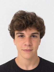 Hugo Revert