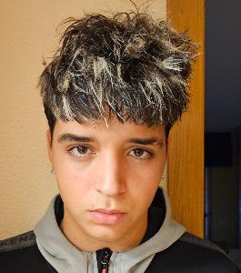 Alejandro Negrete