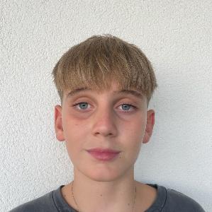 Mauro Irles