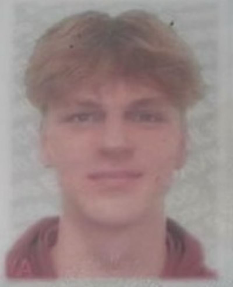 Emils Pavils Pogins